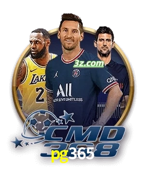 apostas esportivas online